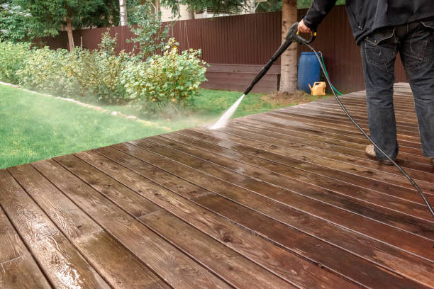 Best Solar Panel Cleaning  in Apollo Beach, FL